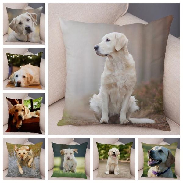 cushion/decorative pillow labrador dog pillowcase decor cute pet animal printed super soft short plush cushion cover for sofa home car case
cushion/decorative pillow labrador dog pillowcase decor cute pet animal printed super soft short plush cushion cover for sofa home car case