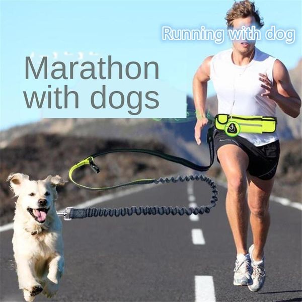 dog collars & leashes pet supplies waterproof waist bag sports running traction rope multifunctional belt leash can be used separately
dog collars & leashes pet supplies waterproof waist bag sports running traction rope multifunctional belt leash can be used separately