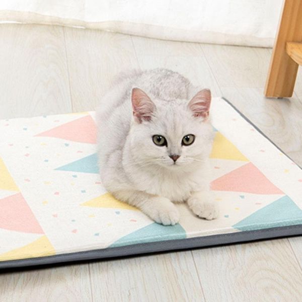 cat beds & furniture s/m/l pet mat summer cool and comfortable mats breathable dog sleeping method bite-resistant
cat beds & furniture s/m/l pet mat summer cool and comfortable mats breathable dog sleeping method bite-resistant