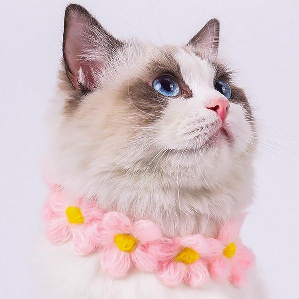 cat collars & leads flower collar decorative hand-woven cats dog teddy bomei puppy ragdoll kittens tie lovely pet accessories type
cat collars & leads flower collar decorative hand-woven cats dog teddy bomei puppy ragdoll kittens tie lovely pet accessories type