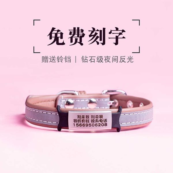 pet id dog tag cat collar laser engraving anti losing tag teddy bomei reflective hang
pet id dog tag cat collar laser engraving anti losing tag teddy bomei reflective hang