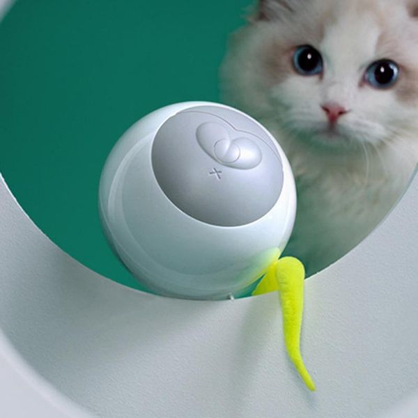 cat toys colorful led smart electric toy magic roller ball usb pet rolling flash automatic rotating for
cat toys colorful led smart electric toy magic roller ball usb pet rolling flash automatic rotating for