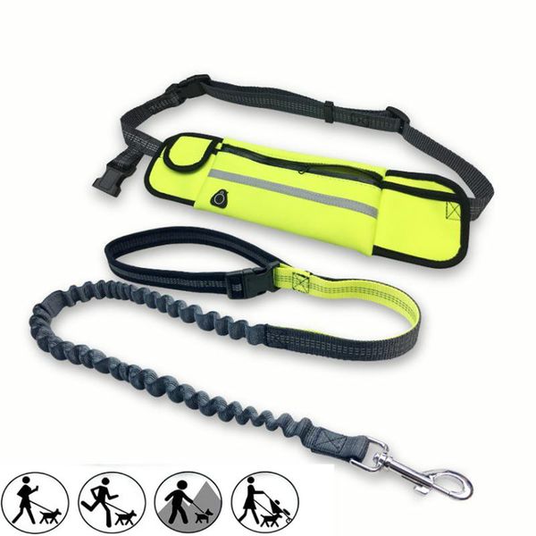 dog collars & leashes jogging lead waterproof running belt leash retractable hands professional pet training set
dog collars & leashes jogging lead waterproof running belt leash retractable hands professional pet training set