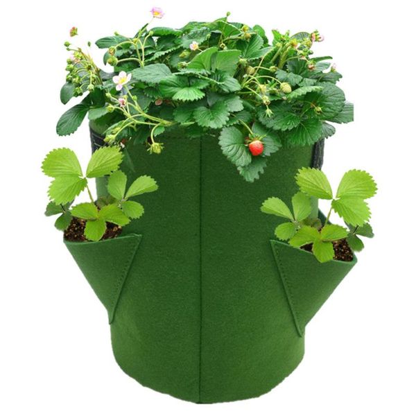 planters & pots strawberry plant grow bag home garden portable potato flower vegetable planter pot
planters & pots strawberry plant grow bag home garden portable potato flower vegetable planter pot