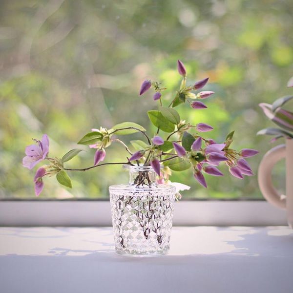 vases transparent glass vase hydroponic plant table home decor fresh flower container jar scandinavian floral storage bottle
vases transparent glass vase hydroponic plant table home decor fresh flower container jar scandinavian floral storage bottle