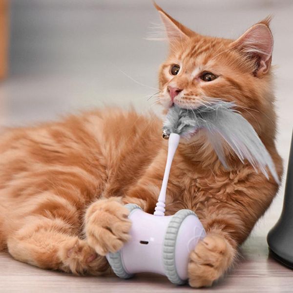 cat toys automatic tumbler toy with wheels indoor exercise interactive irregular rotating mode funny supplies
cat toys automatic tumbler toy with wheels indoor exercise interactive irregular rotating mode funny supplies