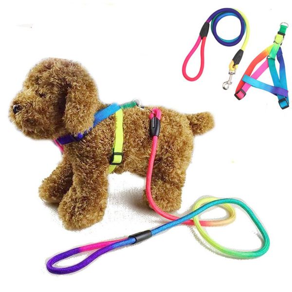 dog collars & leashes pet leash rope colorful rainbow puppy soft walking harness lead round nylon training collar chain set belt durable
dog collars & leashes pet leash rope colorful rainbow puppy soft walking harness lead round nylon training collar chain set belt durable