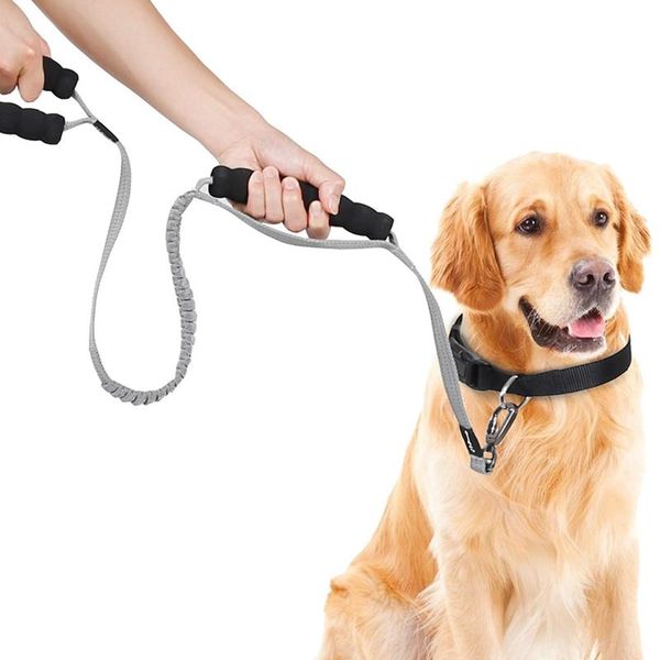 -dog outdoor training walking belt running leash nylon leashes puppy lead strap for small medium large dogs pet supplies dog collars &
-dog outdoor training walking belt running leash nylon leashes puppy lead strap for small medium large dogs pet supplies dog collars &