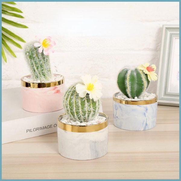 decorative flowers & wreaths nordic modern succulent cactus artificial plant bonsai for living room study bedroom hallway deskhome fake
decorative flowers & wreaths nordic modern succulent cactus artificial plant bonsai for living room study bedroom hallway deskhome fake
