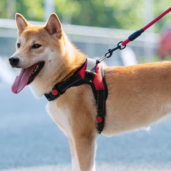 dog collars & leashes vest type chest and back strap small teddy golden hair large explosion-proof walk rope pet products1
dog collars & leashes vest type chest and back strap small teddy golden hair large explosion-proof walk rope pet products1