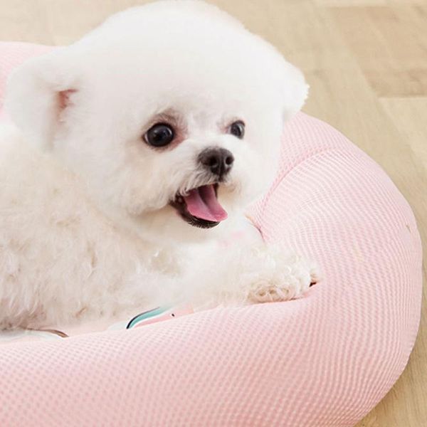 super soft breathable pet bed dog cat cushion mat washable house basket supplies kennels & pens
super soft breathable pet bed dog cat cushion mat washable house basket supplies kennels & pens