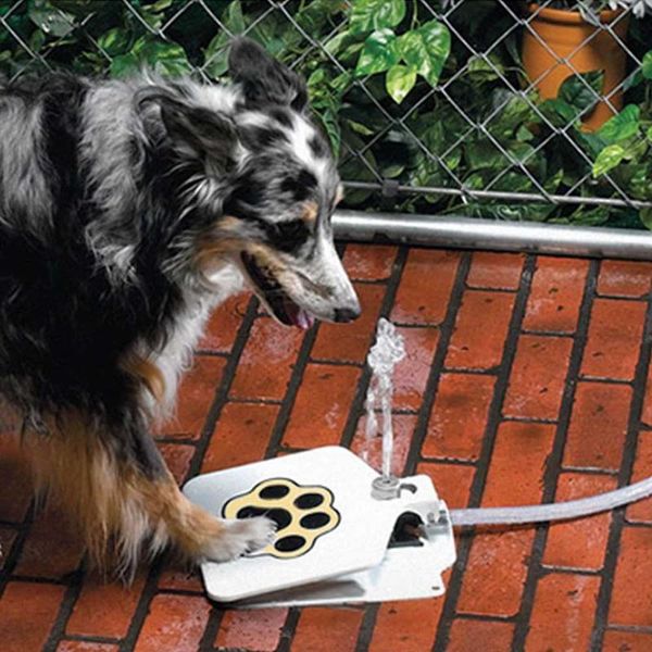 durability trouble outdoor dog cat pet drinking doggie water fountain sprinkler dispenser kennels & pens
durability trouble outdoor dog cat pet drinking doggie water fountain sprinkler dispenser kennels & pens