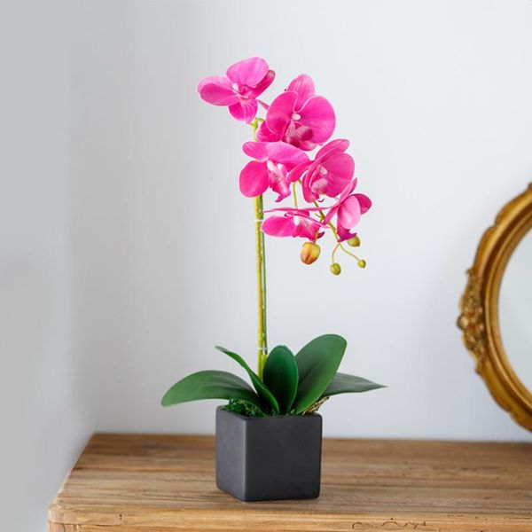 decorative flowers & wreaths artificial orchids plants with vases phalaenopsis for decoration home office lbe
decorative flowers & wreaths artificial orchids plants with vases phalaenopsis for decoration home office lbe