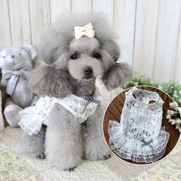 pet dog dress summer puppy clothes princess wedding for small dogs lace embroidered skirt outfit chihuahua poodle pug apparel
pet dog dress summer puppy clothes princess wedding for small dogs lace embroidered skirt outfit chihuahua poodle pug apparel
