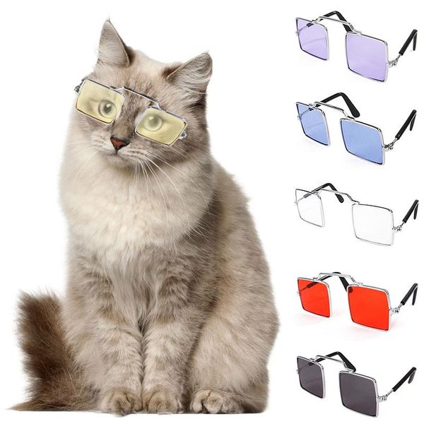 cat costumes fashion glasses pet dog sunglasses foldable lovely eyewear pos props cool kitten puppy eye supplies
cat costumes fashion glasses pet dog sunglasses foldable lovely eyewear pos props cool kitten puppy eye supplies