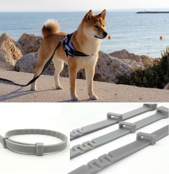 styles dog cat adjustable anti flea ticks collar pet waterproof over 8 months protection accessories collars & leashes
styles dog cat adjustable anti flea ticks collar pet waterproof over 8 months protection accessories collars & leashes