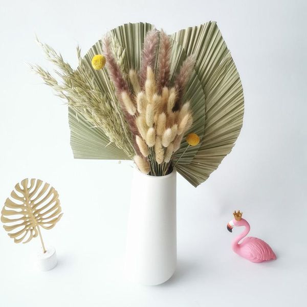 decorative flowers & wreaths 1set palm fan leaves dried leaf small pampa tail grass window reception party wedding deco marriage
decorative flowers & wreaths 1set palm fan leaves dried leaf small pampa tail grass window reception party wedding deco marriage