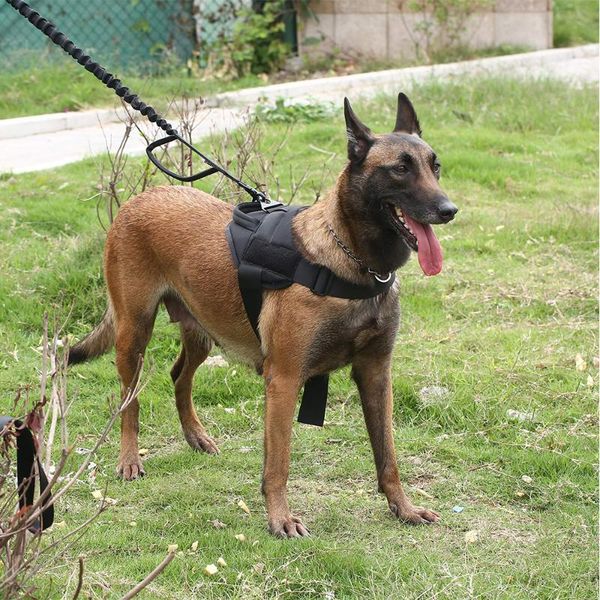 military tactical dog harness k9 working collar small large service vest with handle collars & leashes
military tactical dog harness k9 working collar small large service vest with handle collars & leashes