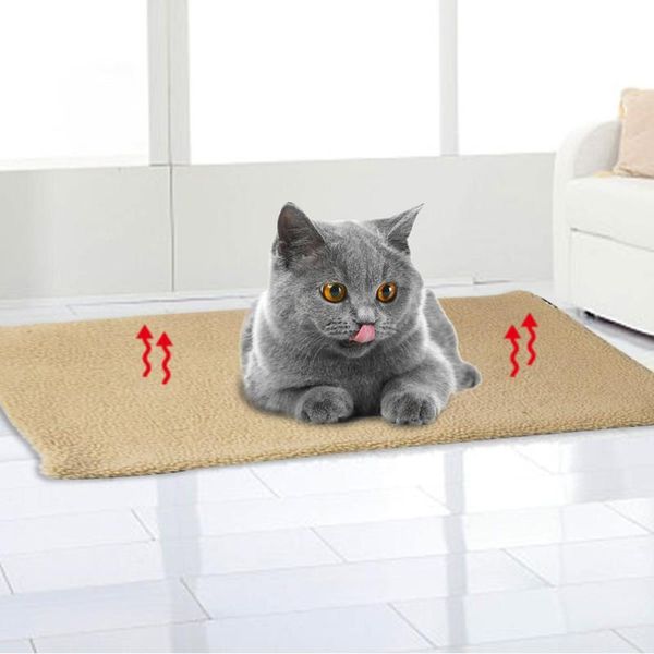 dog pet bed for large dogs cat blanket mat warm lambswool plush small medium cushion kennels & pens
dog pet bed for large dogs cat blanket mat warm lambswool plush small medium cushion kennels & pens