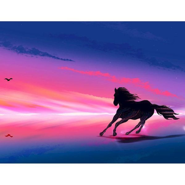 paintings horse in colorful sky painting by number acrylic oil diy pictures numbers on canvas for home decoration
paintings horse in colorful sky painting by number acrylic oil diy pictures numbers on canvas for home decoration