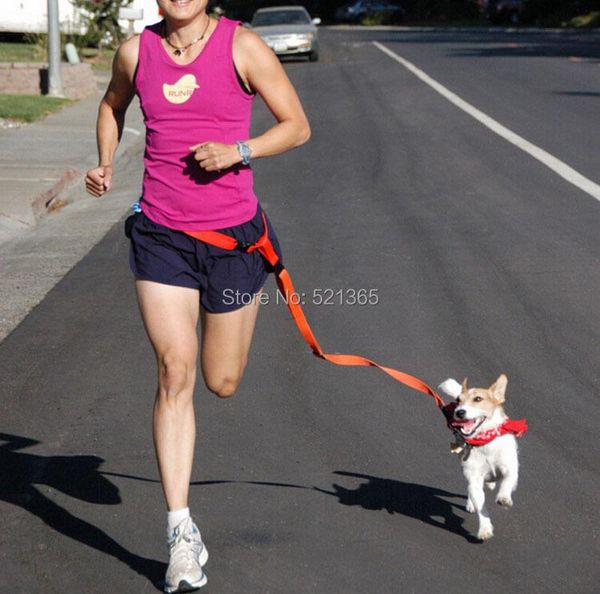 dog collars & leashes wholesale 100pcs/lot pet sport running traction rope,puppy hauling cable leads and belt
dog collars & leashes wholesale 100pcs/lot pet sport running traction rope,puppy hauling cable leads and belt