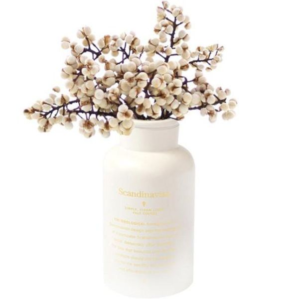 10 stems natural dried flower mushroom grass small ginkgo
10 stems natural dried flower mushroom grass small ginkgo