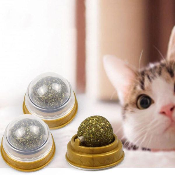 cat toys natural catnip wall stick-on ball toy treats healthy removes hair balls to promote digestion grass snack
cat toys natural catnip wall stick-on ball toy treats healthy removes hair balls to promote digestion grass snack