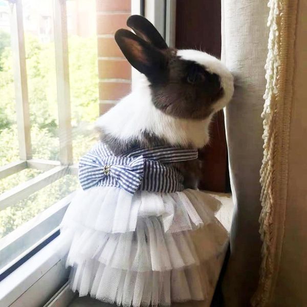 cat costumes cute pet dress fashion garfield floral bow clothes wedding party small dog skirt summer chihuahua clothing supplies
cat costumes cute pet dress fashion garfield floral bow clothes wedding party small dog skirt summer chihuahua clothing supplies