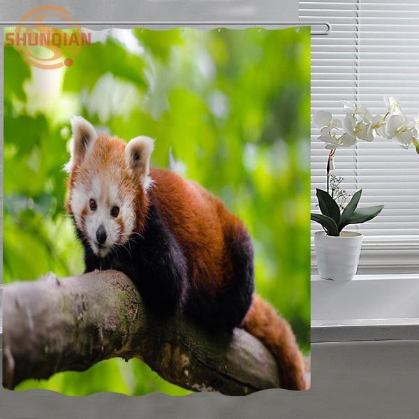 shower curtains red panda animal seriesshower curtain fabric polyester custom with hooks h328&j40o
shower curtains red panda animal seriesshower curtain fabric polyester custom with hooks h328&j40o