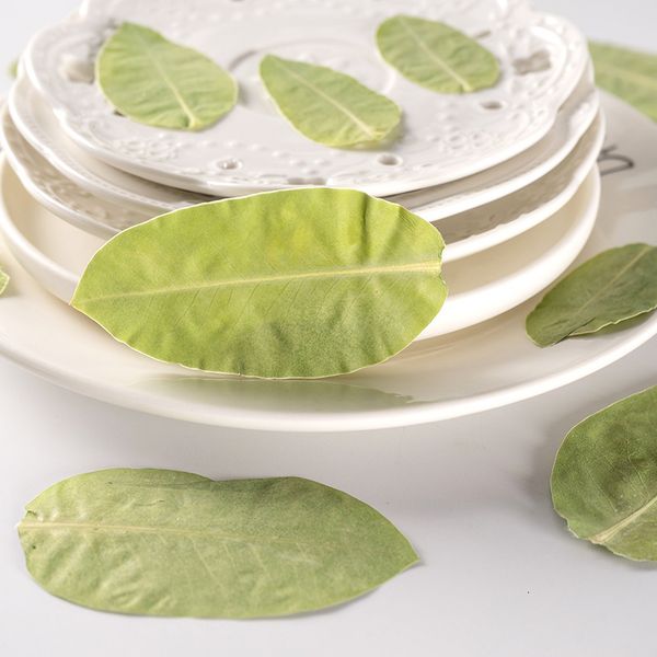 leaf flower embossing dry diy bookmark candle mobile phone shell plant teaching specimen festival gift design
leaf flower embossing dry diy bookmark candle mobile phone shell plant teaching specimen festival gift design