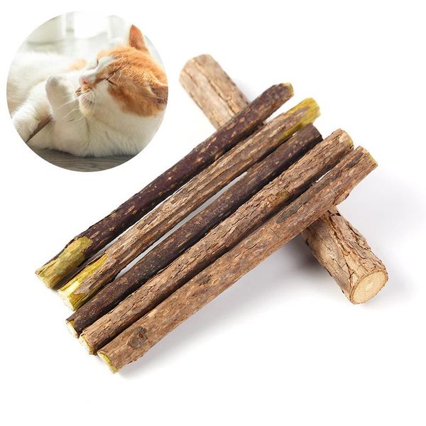cat toys 5pcs toy chew stick molar natural small pet food supplies interactive
cat toys 5pcs toy chew stick molar natural small pet food supplies interactive