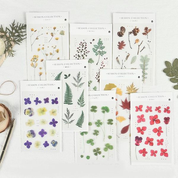 gift wrap flower plant one sheet stickers pine cone green leaf journal sticker aesthetic scrapbooking material diary handiwork diy craft
gift wrap flower plant one sheet stickers pine cone green leaf journal sticker aesthetic scrapbooking material diary handiwork diy craft