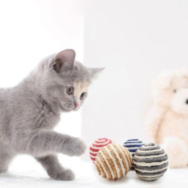 cat toys pet toy sturdy and durable scratch-resistant sisal material interactive strong indoor color random affordable 
cat toys pet toy sturdy and durable scratch-resistant sisal material interactive strong indoor color random affordable