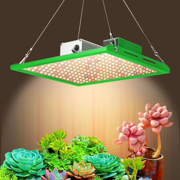 full spectrum samsung lm281b led grow light 1000w 2000w 3000w 4000w high ppfd lights with uv ir
full spectrum samsung lm281b led grow light 1000w 2000w 3000w 4000w high ppfd lights with uv ir