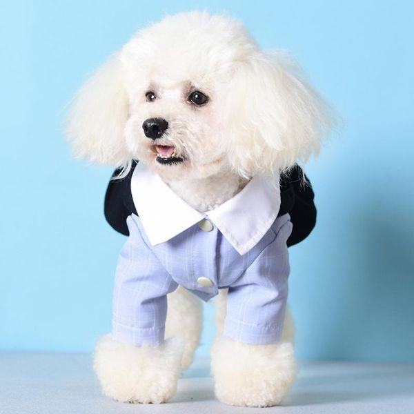 dog apparel couple style clothes leisure puppy pet shirt clothing for small medium dogs coat ropa perro chihuahua yorkshire
dog apparel couple style clothes leisure puppy pet shirt clothing for small medium dogs coat ropa perro chihuahua yorkshire