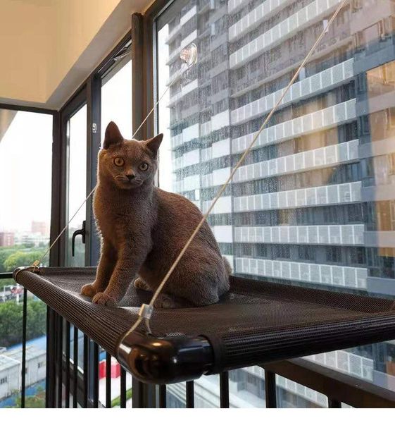 cat beds & furniture pet hammock cute super suction balcony climbing frame bed window installation comfortable bearing 31kg
cat beds & furniture pet hammock cute super suction balcony climbing frame bed window installation comfortable bearing 31kg