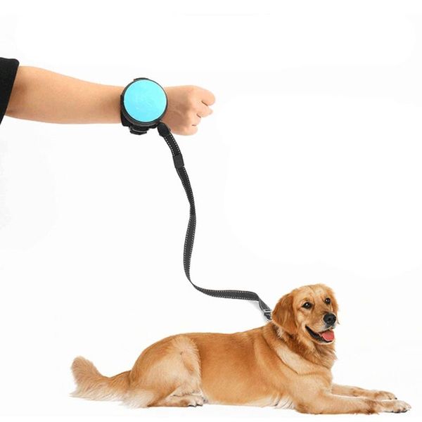 dog collars & leashes handswrist retractable leash pet traction rope adjustable 3m terrier belt strap running jogging product
dog collars & leashes handswrist retractable leash pet traction rope adjustable 3m terrier belt strap running jogging product