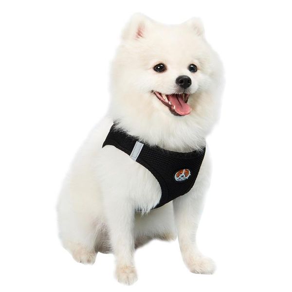 dog collars & leashes chest strap nylon breathable mesh material comfortable durable safety buckle design convenient for pets outing supplie
dog collars & leashes chest strap nylon breathable mesh material comfortable durable safety buckle design convenient for pets outing supplie