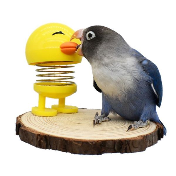other bird supplies small pet parrot toys stand moving cage platform perching stick relieve stress
other bird supplies small pet parrot toys stand moving cage platform perching stick relieve stress