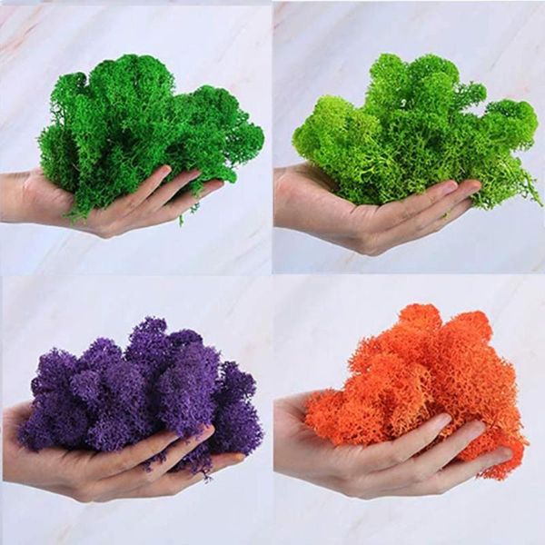 decorative flowers & wreaths natural dry preserved moss mosses plants for home fairy garden micro landscape christmas wedding decoration 20g
decorative flowers & wreaths natural dry preserved moss mosses plants for home fairy garden micro landscape christmas wedding decoration 20g