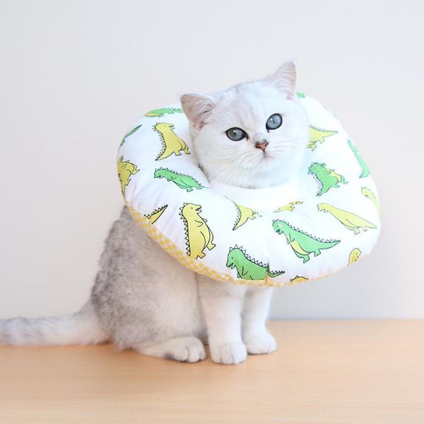 cat collars & leads elizabethan collar pet dog neck cone recovery for anti-bite lick wound healing protective cats
cat collars & leads elizabethan collar pet dog neck cone recovery for anti-bite lick wound healing protective cats