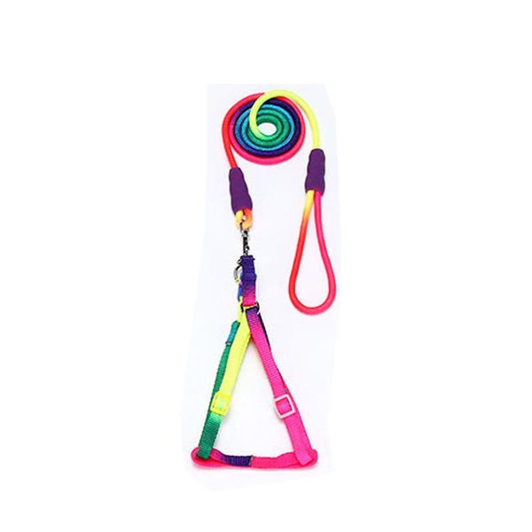 dog collars & leashes adjustable breakaway rainbow nylon small cat collar leash breast-band lead harness set goods for pets
dog collars & leashes adjustable breakaway rainbow nylon small cat collar leash breast-band lead harness set goods for pets