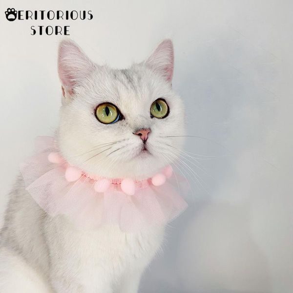 cat collars & leads cute lace princess dog collar pet necklace accessories puppy chihuahua kitten with balls adjustable pets bowtie gift
cat collars & leads cute lace princess dog collar pet necklace accessories puppy chihuahua kitten with balls adjustable pets bowtie gift