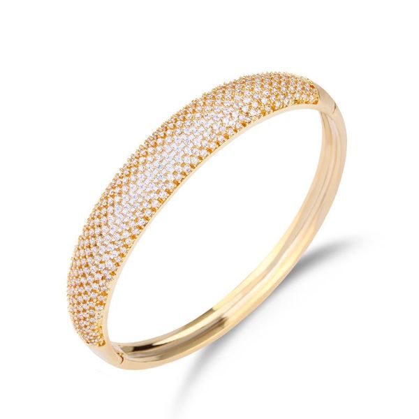 bangle 2021 stainless steel mesh bracelets zircon gold white cz charm brand bracelet for woman men jewelry gifts, Black
bangle 2021 stainless steel mesh bracelets zircon gold white cz charm brand bracelet for woman men jewelry gifts, Black