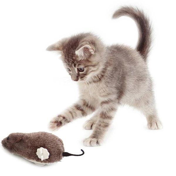cat toys creative funny clockwork spring power plush mouse toy dog playing mechanical motion rat pet accessories
cat toys creative funny clockwork spring power plush mouse toy dog playing mechanical motion rat pet accessories