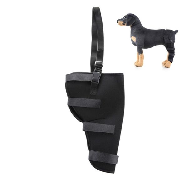 dog apparel pet leg brace right/left rear knee hock bandages straps protection joint bandage wrap recovery supplies
dog apparel pet leg brace right/left rear knee hock bandages straps protection joint bandage wrap recovery supplies