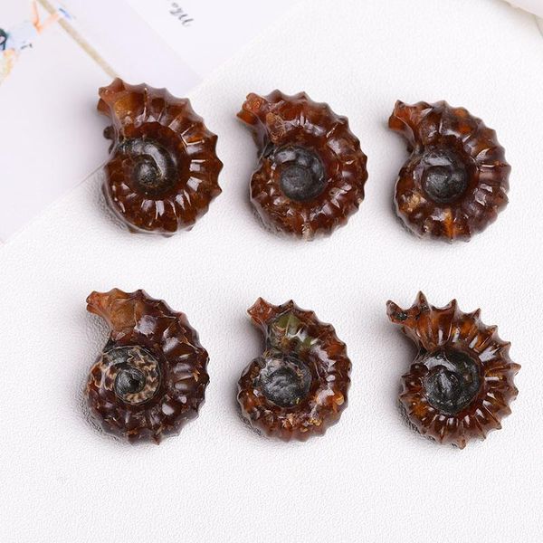 novelty items 1pc natural jade conch ore mineral furnishing articl home decoration fashion reiki healing diy gift souvenir22-30g
novelty items 1pc natural jade conch ore mineral furnishing articl home decoration fashion reiki healing diy gift souvenir22-30g
