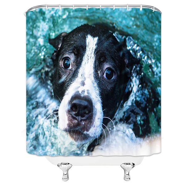 funny dog shower curtain animal theme dog shower curtain set ocean wave dog bath shower bath curtain lining farmhouse decoration
funny dog shower curtain animal theme dog shower curtain set ocean wave dog bath shower bath curtain lining farmhouse decoration