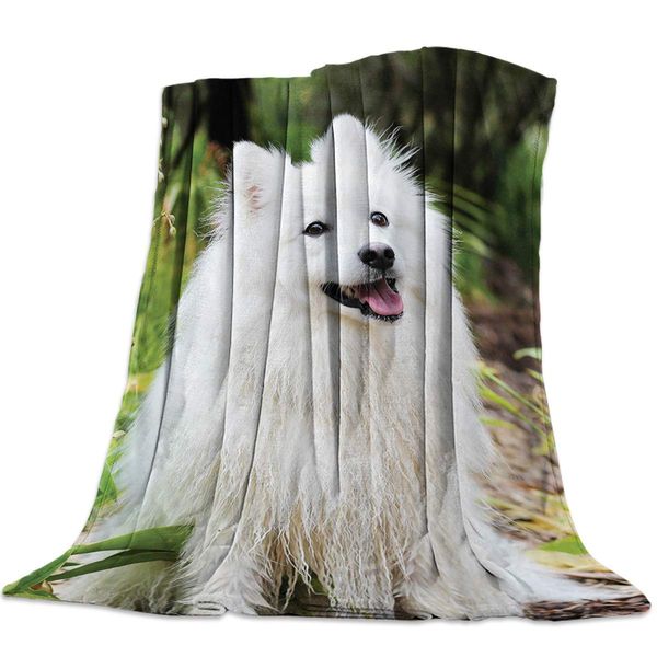 super soft throw blanket samoyed animal pet cute dog lightweight decorative fleece blankets for couch bed sofa
super soft throw blanket samoyed animal pet cute dog lightweight decorative fleece blankets for couch bed sofa