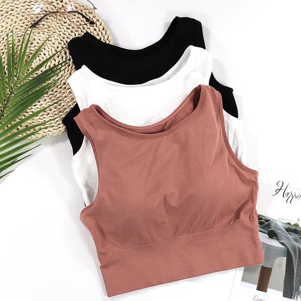 female fitness gym bra sports yoga -proof tube wrap chest strap pad slim wild non-steel ring underwear outfit
female fitness gym bra sports yoga -proof tube wrap chest strap pad slim wild non-steel ring underwear outfit